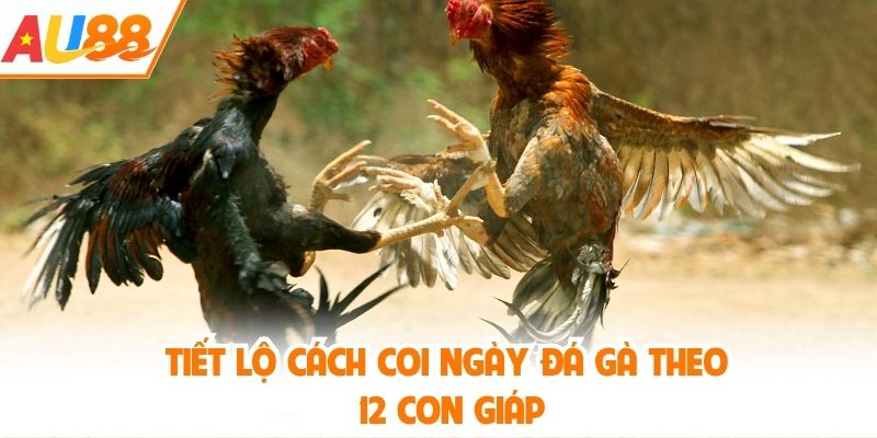 Tiết lộ cách coi ngày đá gà theo 12 con giáp